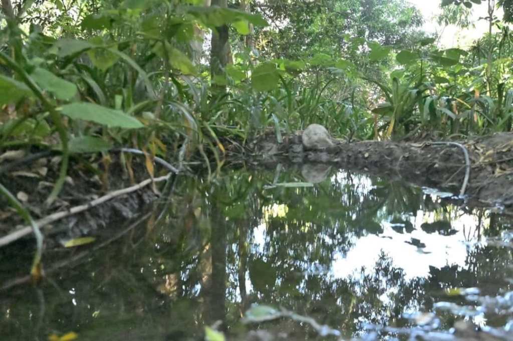 Ante el estiaje, Norma Otilia busca mayor captación de&nbsp;agua