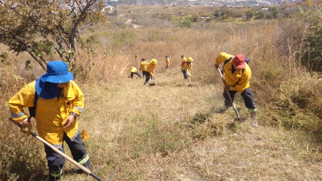 REALIZAN ACCIONES REVENTIVAS EN ZONAS PROPENSAS A&nbsp;INCEDIOS