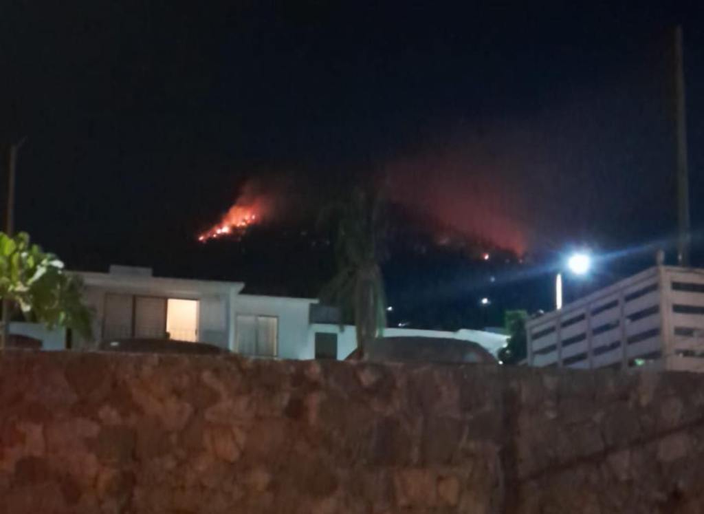 Realizan trabajo coordinado para sofocar incendio forestal en&nbsp;Acapulco