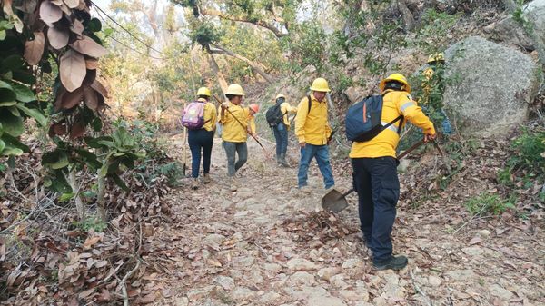 Se incendia nuevamente el parque nacional “El&nbsp;Veladero”