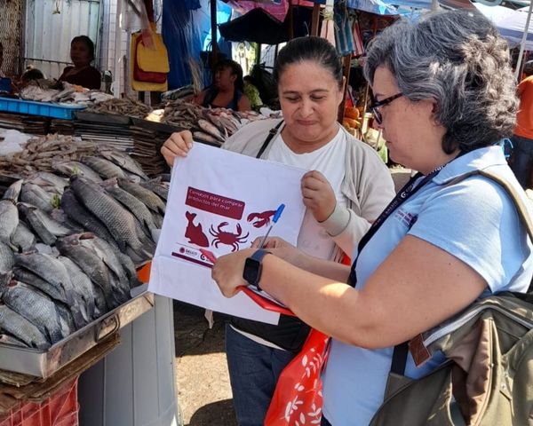 Implementan brigadas informativas en pescados y mariscos en mercados del&nbsp;Estado