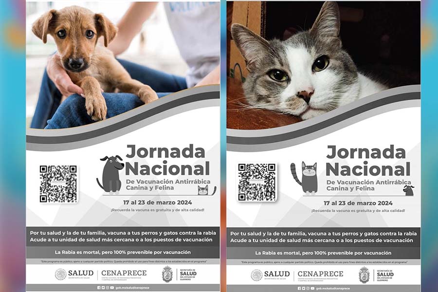 Campaña Nacional de Vacunación Antirrábica Canina y&nbsp;Felina