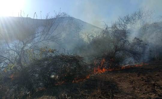 PC Iguala atiende incendio en El&nbsp;Naranjo