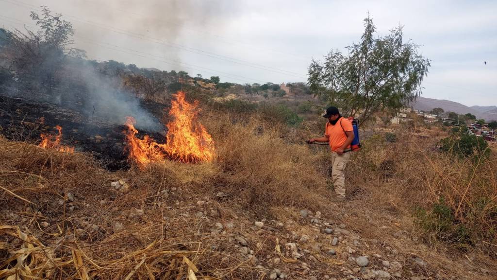 Protección Civil atiende reportes diario de incendios de&nbsp;pastizales