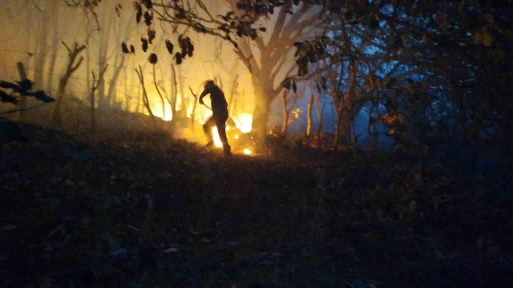 Se combaten seis incendios forestales en Guerrero:&nbsp;SGIRPCGRO
