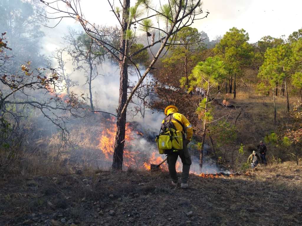 Se trabaja para sofocar incendio forestal en el municipio de Buenavista de&nbsp;Cuéllar