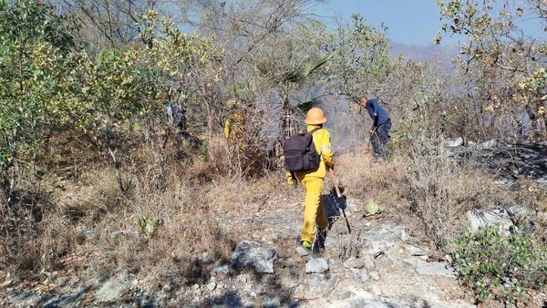 Este jueves la SGIRPCGRO atiende 15 incendios forestales y suburbanos en&nbsp;Guerrero