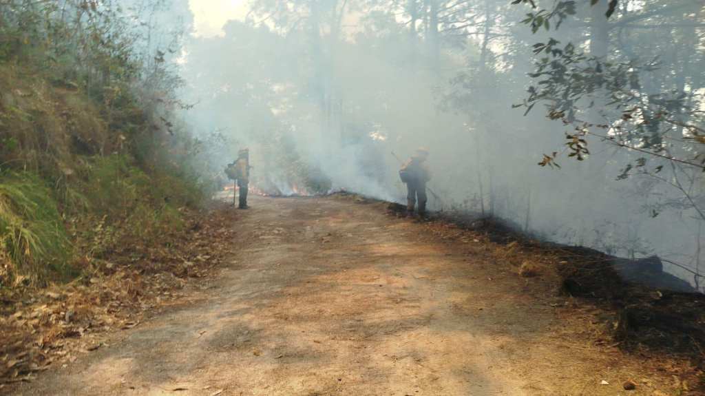 Intensifican brigadistas combate de incendios forestales activos en&nbsp;Guerrero