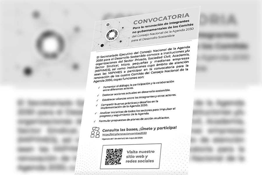 «Convocatoria Pública para la Renovación de Integrantes No Gubernamentales de los Comités del Consejo Nacional de la Agenda 2030 para el Desarrollo&nbsp;Sostenible»