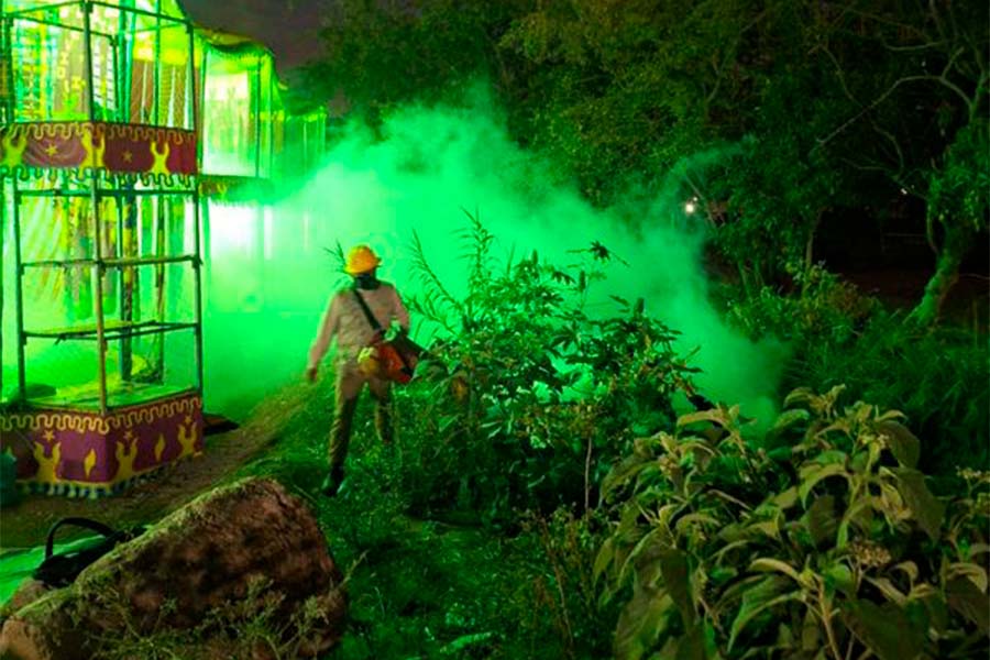 Llama SSG a participar en la prevención del&nbsp;dengue