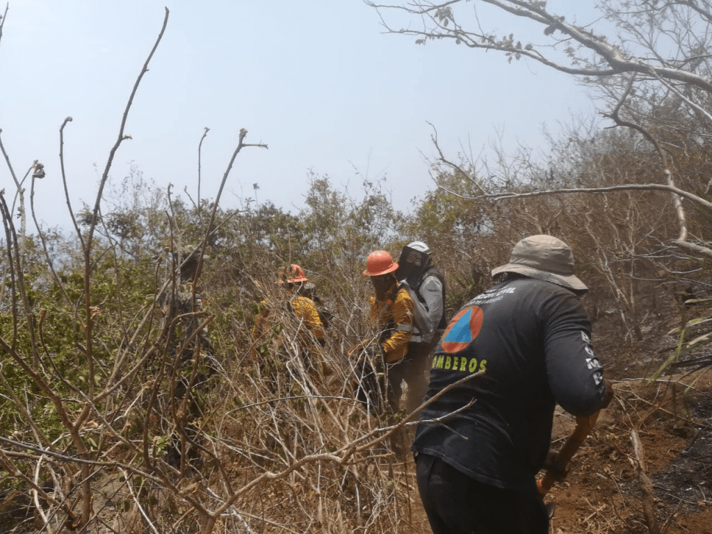 Continúa el combate del incendio forestal en el Parque El Veladero de&nbsp;Acapulco