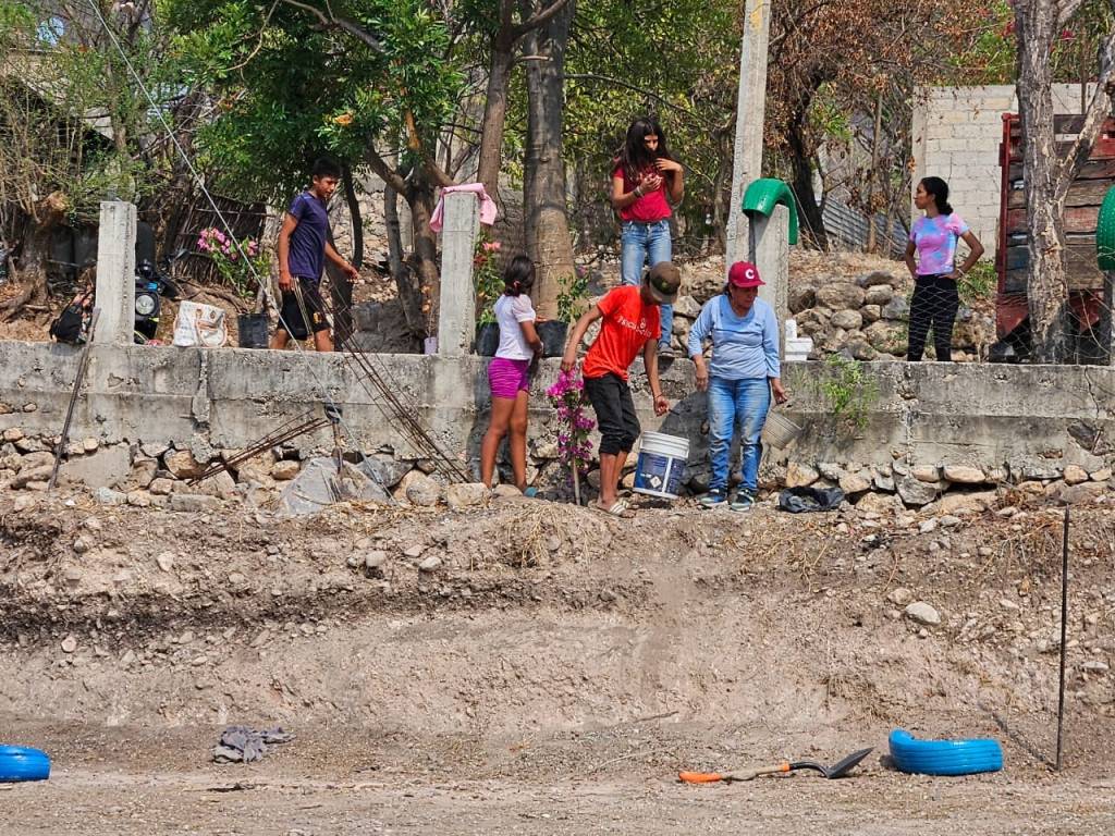 Reforestan colonias de&nbsp;Iguala