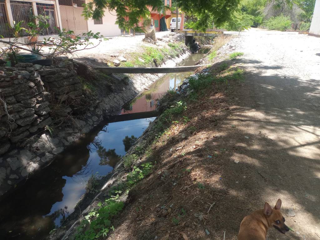 Intensa jornada de limpieza en el canal de La&nbsp;Esperanza