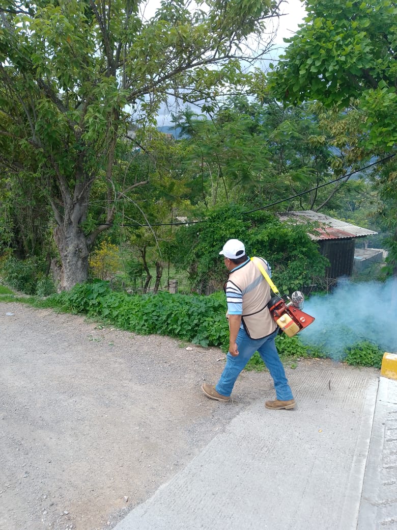 Reporta la SSG acciones de combate contra el dengue en&nbsp;Guerrero
