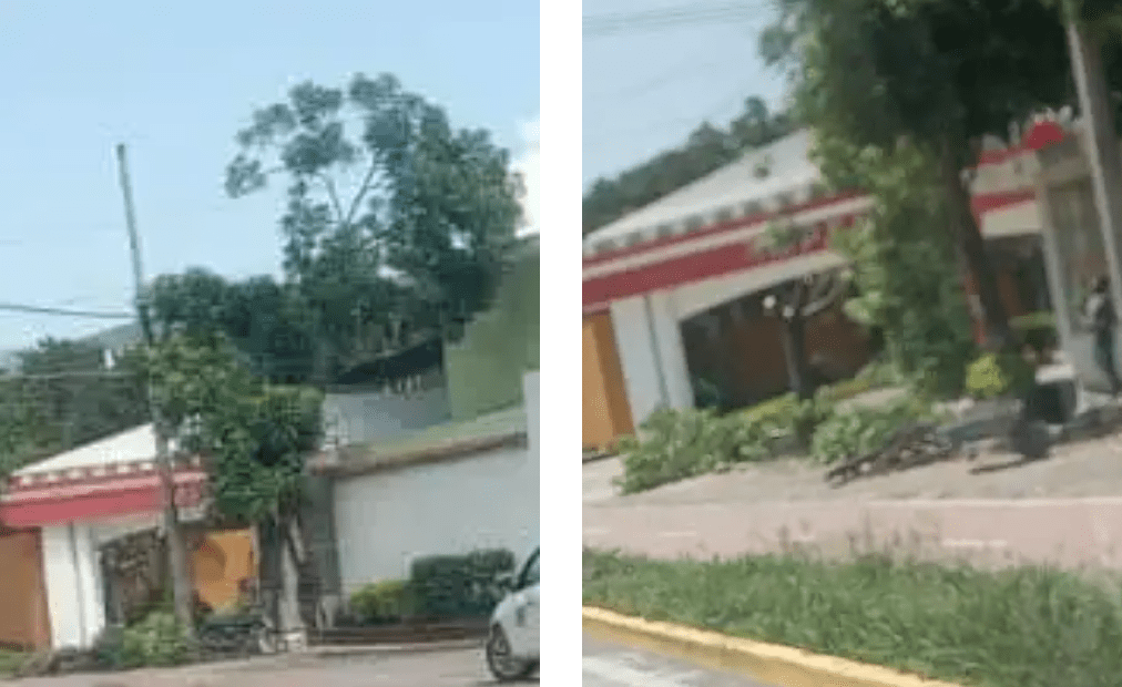 Malestar ciudadano por tala de árboles en el periférico&nbsp;sur