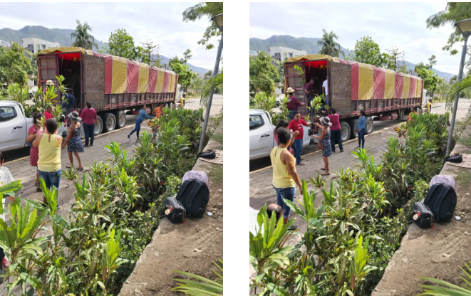 Dona el gobierno de la CDMX, 2 mil plantas para contribuir a la reforestación del puerto de&nbsp;Acapulco