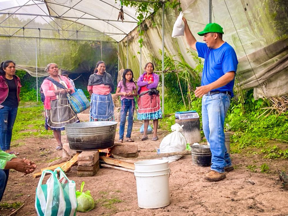 La Sagadegro capacita a productores de Atzacoaloya en control de&nbsp;plagas