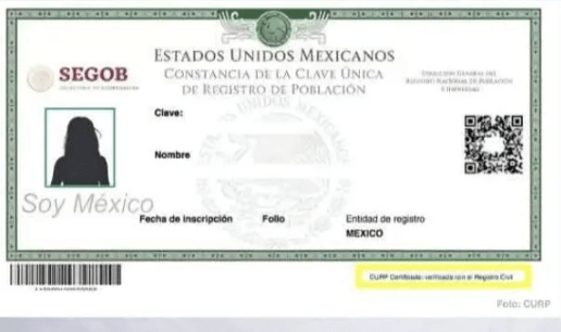 LA NUEVA CURP, IDENTIFICACÓN&nbsp;OFICIAL