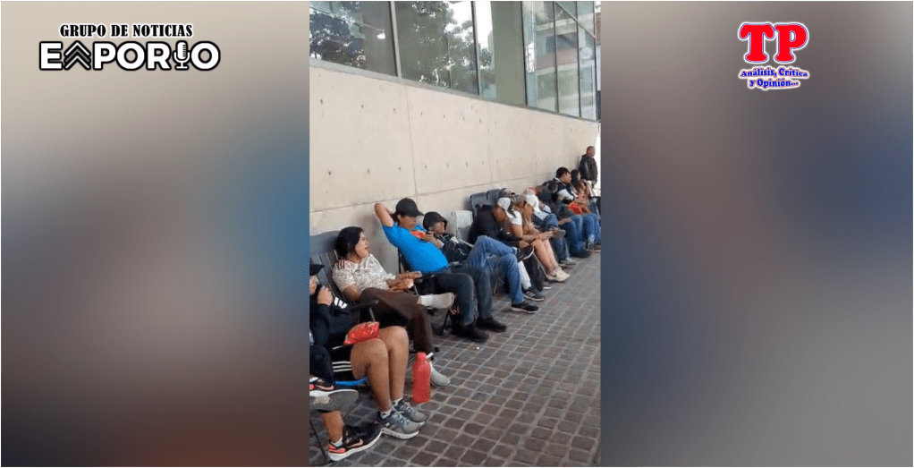 EXPECTATIVA SUPERADA PARA PRESENTACIONES EN EL PALENQUE DE LA&nbsp;FERIA